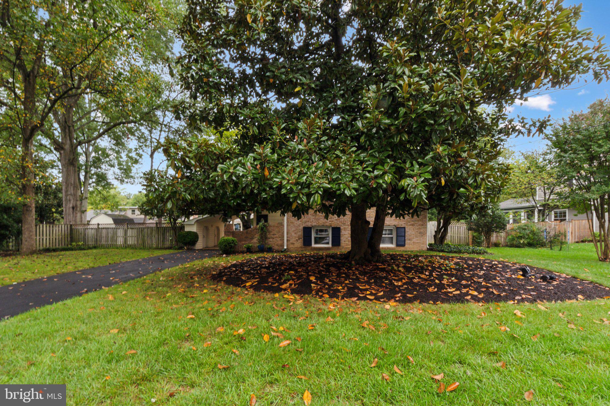 2508 Londonderry Road Alexandria, VA 22308 - Photo 34 of 38 Gallery Image 34
