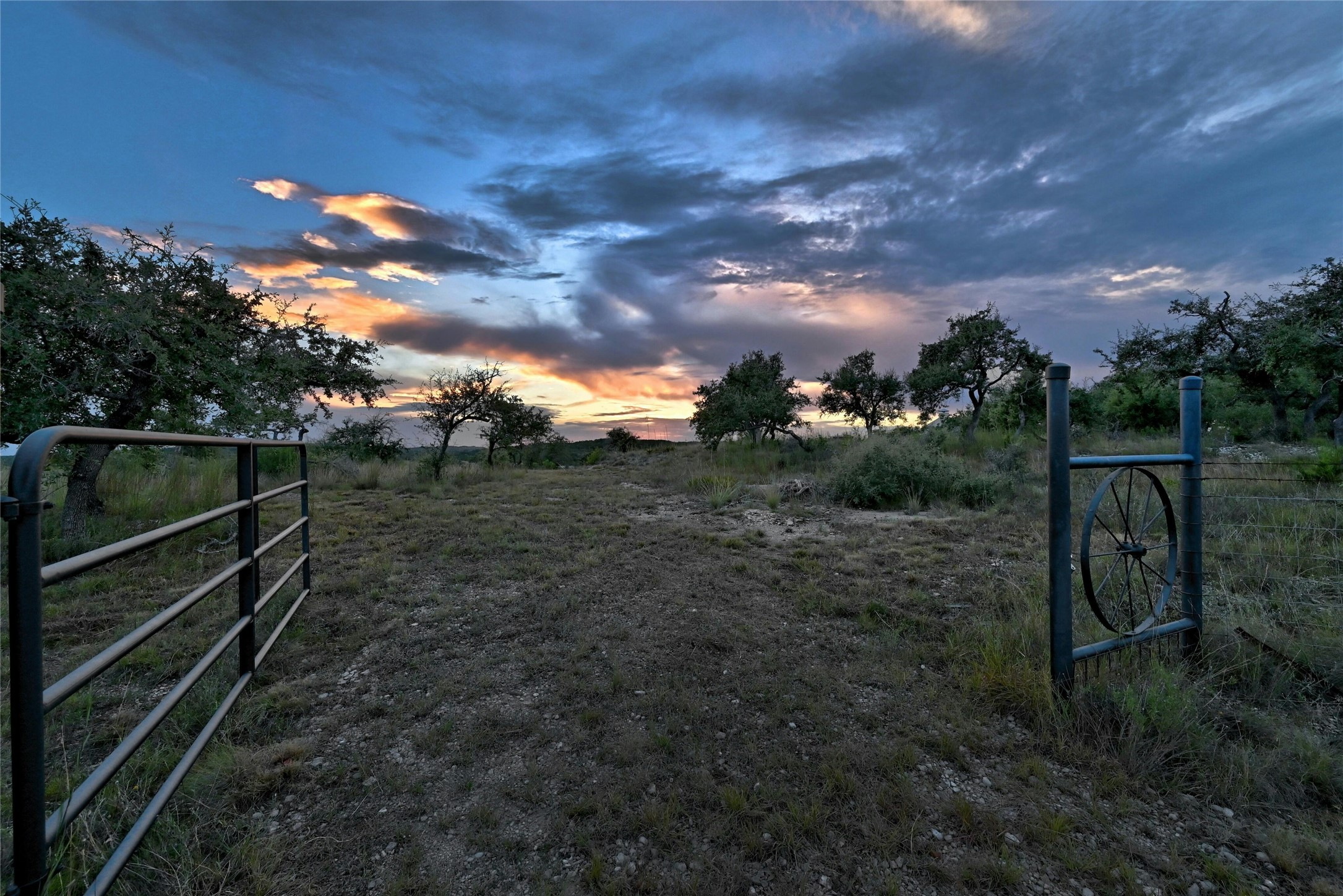 8019 Mt Sharp Road Wimberley, TX 78676 - Photo 7 of 14 a view of a yard