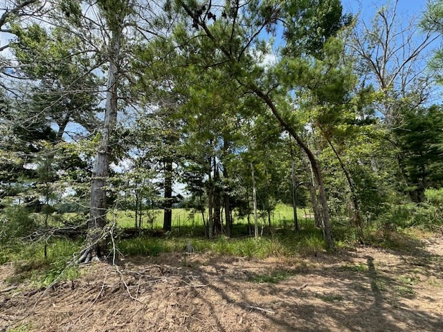 Tbd Street Road Liberty, MS 39645 - Photo 14 of 23 Photo 14