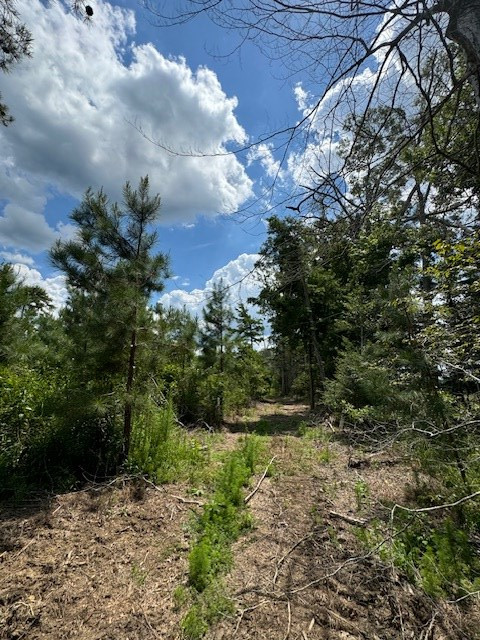 Tbd Street Road Liberty, MS 39645 - Photo 15 of 23 Photo 15