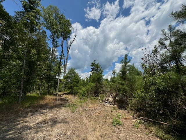 Tbd Street Road Liberty, MS 39645 - Photo 16 of 23 Photo 16