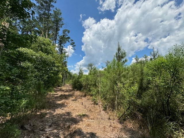Tbd Street Road Liberty, MS 39645 - Photo 17 of 23 Photo 17