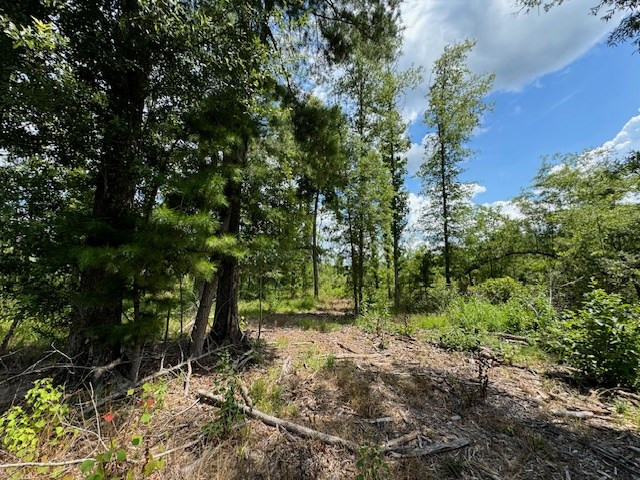 Tbd Street Road Liberty, MS 39645 - Photo 18 of 23 Photo 18