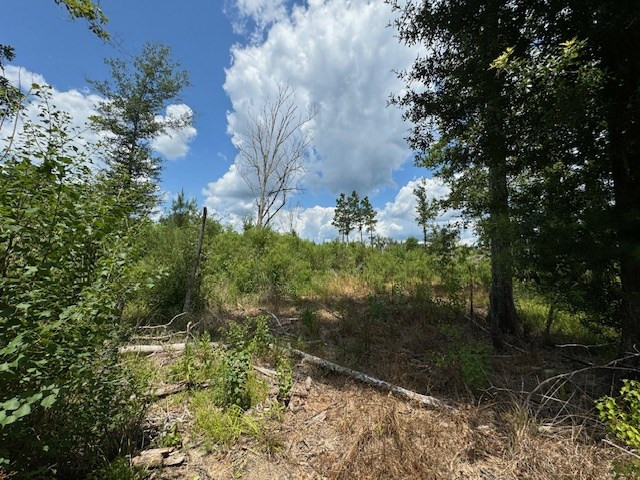 Tbd Street Road Liberty, MS 39645 - Photo 19 of 23 Photo 19