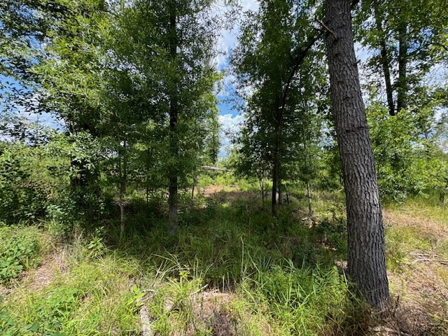 Tbd Street Road Liberty, MS 39645 - Photo 20 of 23 Photo 20