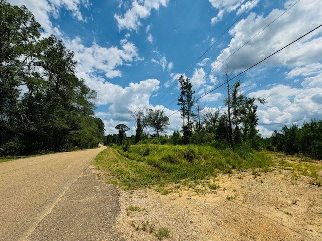Tbd Street Road Liberty, MS 39645 - Photo 3 of 23 Photo 3
