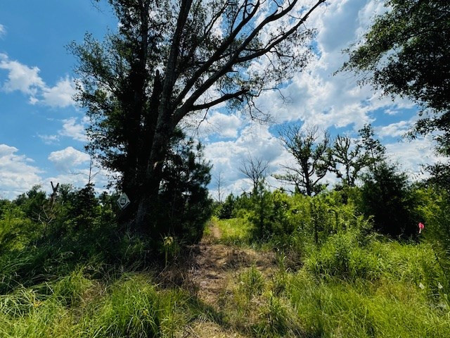 Tbd Street Road Liberty, MS 39645 - Photo 4 of 23 Photo 4
