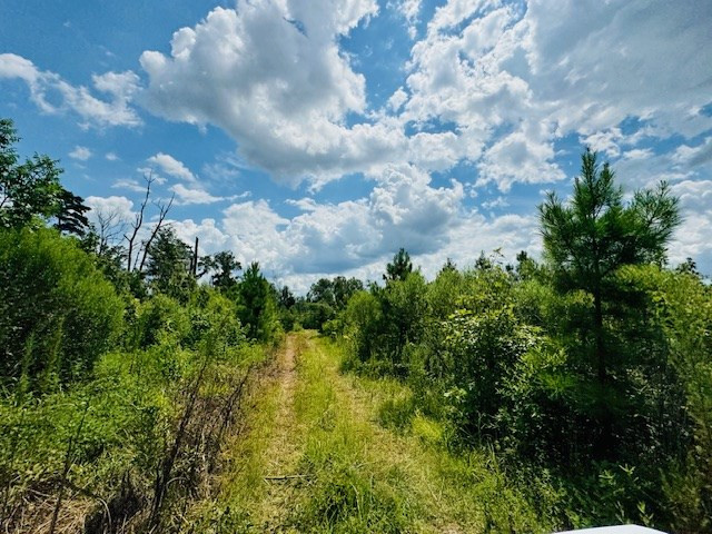 Tbd Street Road Liberty, MS 39645 - Photo 8 of 23 Photo 8