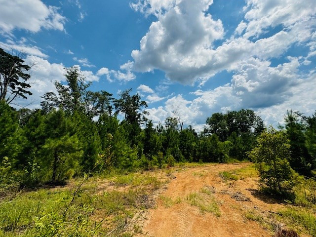 Tbd Street Road Liberty, MS 39645 - Photo 9 of 23 Photo 9