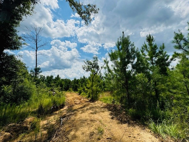 Tbd Street Road Liberty, MS 39645 - Photo 10 of 23 Photo 10