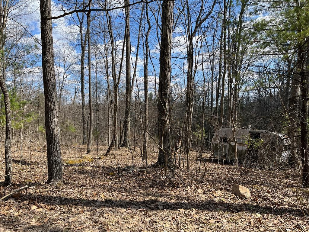4-acres Leading Ridge Road Petersburg, PA 16669 - Photo 2 of 7