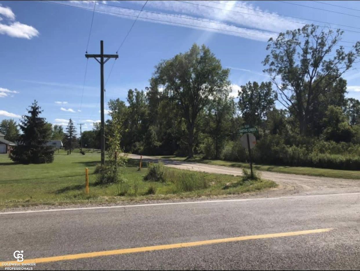 0 Nolan Road Goodells, MI 48027 - Photo 2 of 2