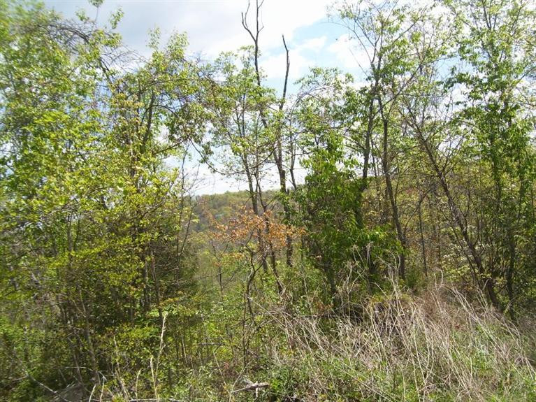 1000 Fount Hubbard Road London, KY 40741 - Photo 6 of 8 Photo 6