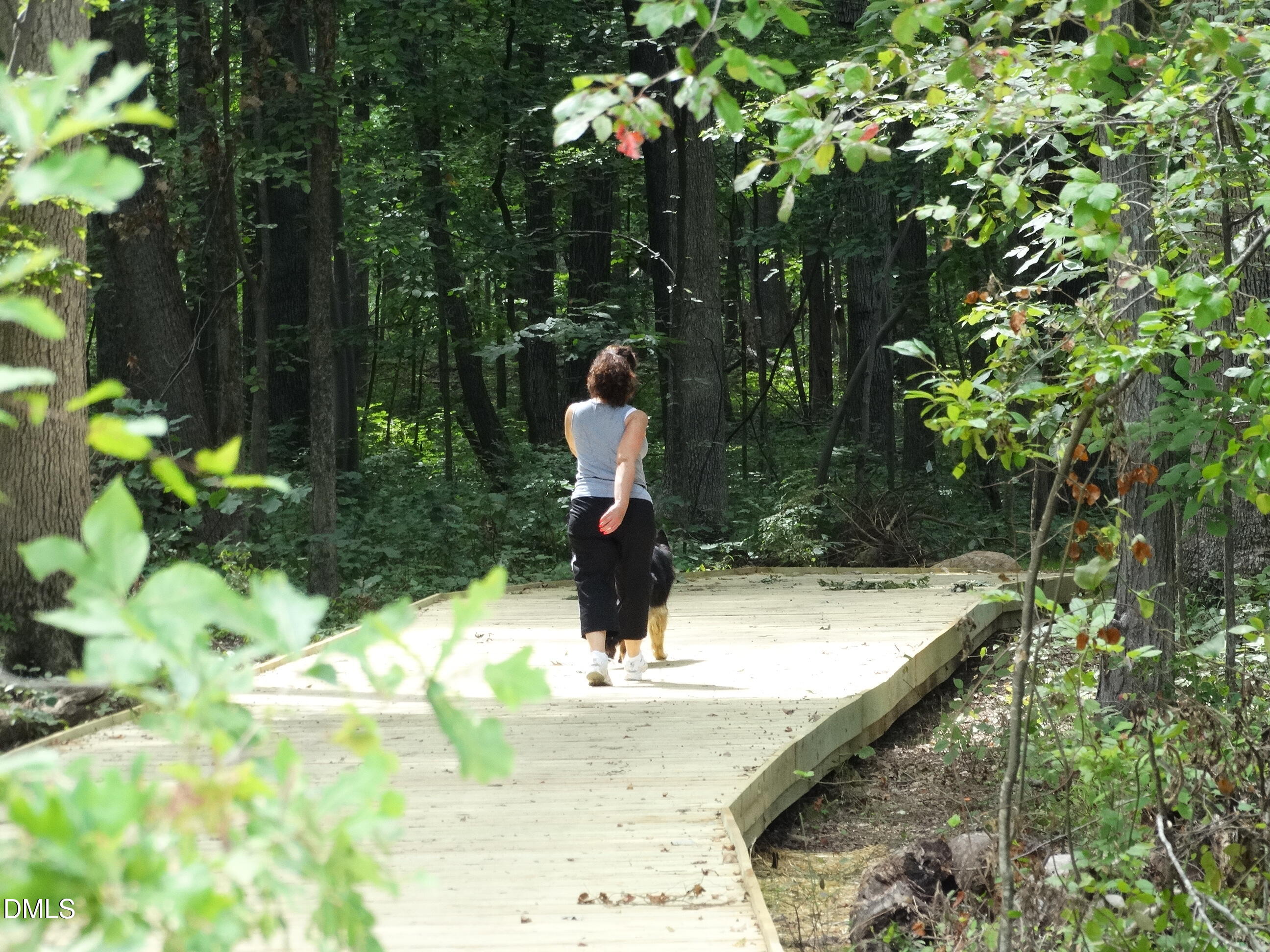 605 Hedrick Ridge Road, Unit 307 Cary, NC 27519 - Photo 34 of 44 doglady 2