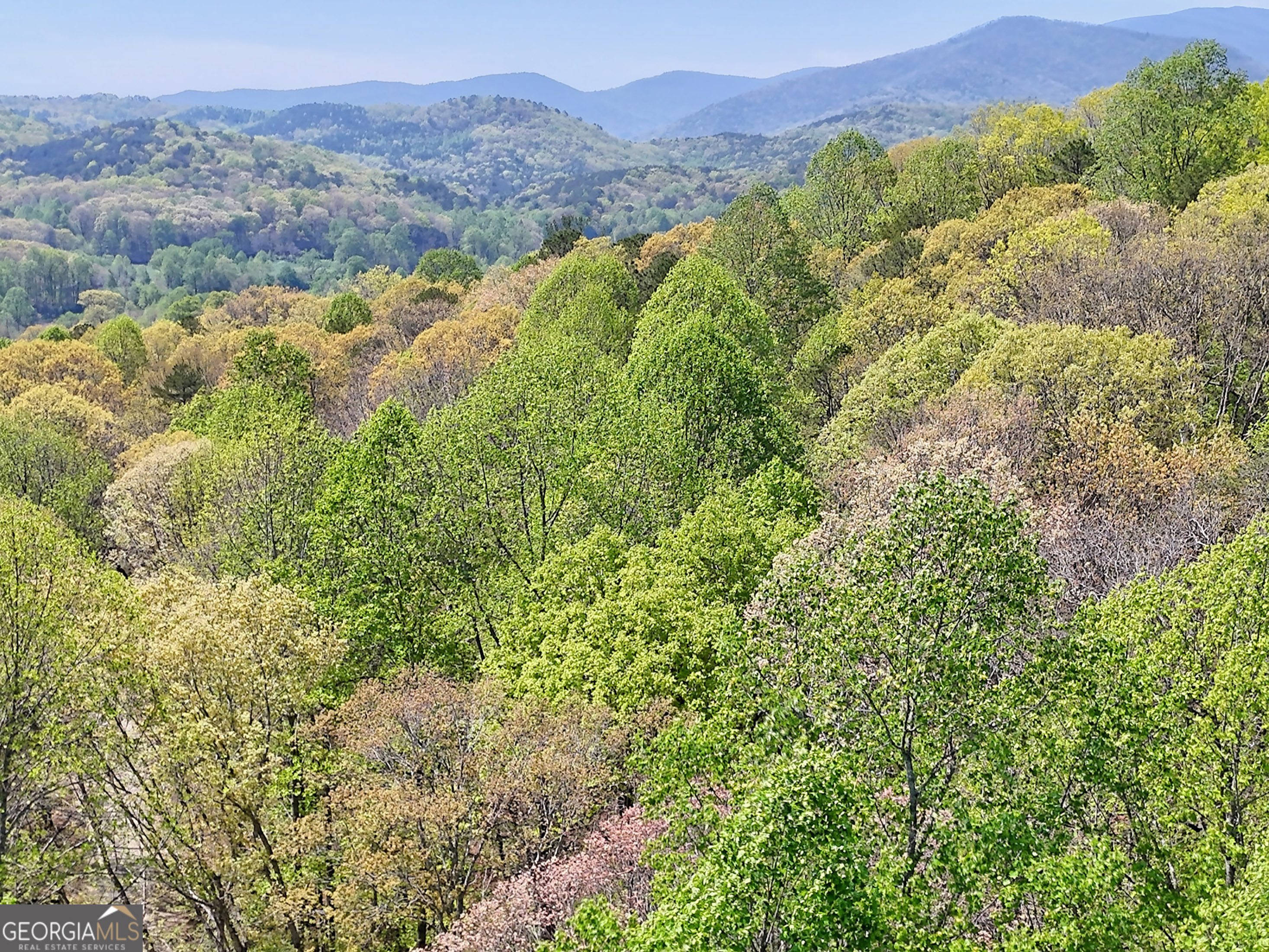 Lot 6 Meadowview Ridge Clarkesville, GA 30523 - Photo 16 of 23