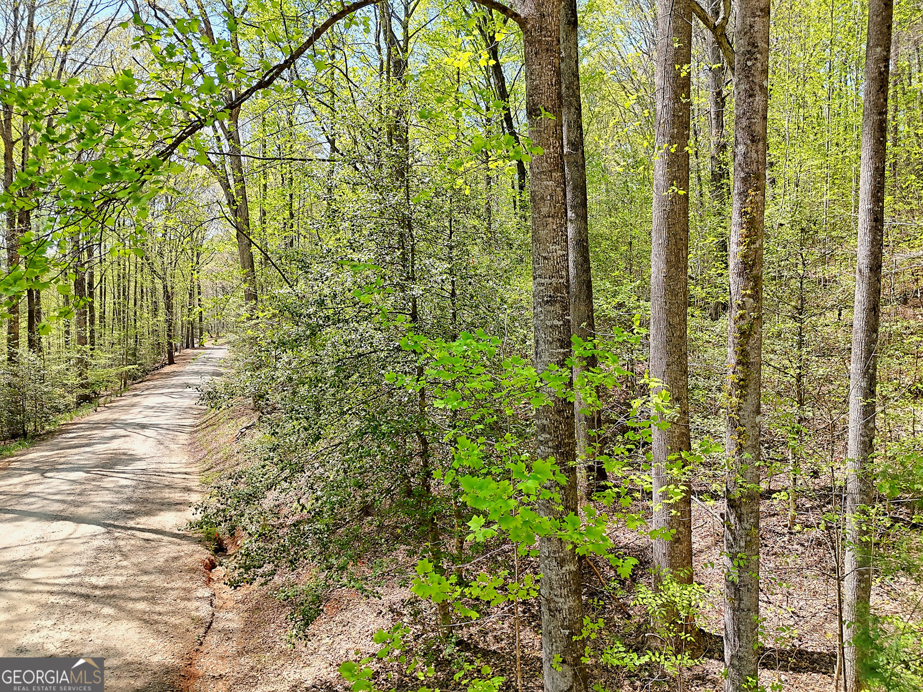 Lot 6 Meadowview Ridge Clarkesville, GA 30523 - Photo 18 of 23