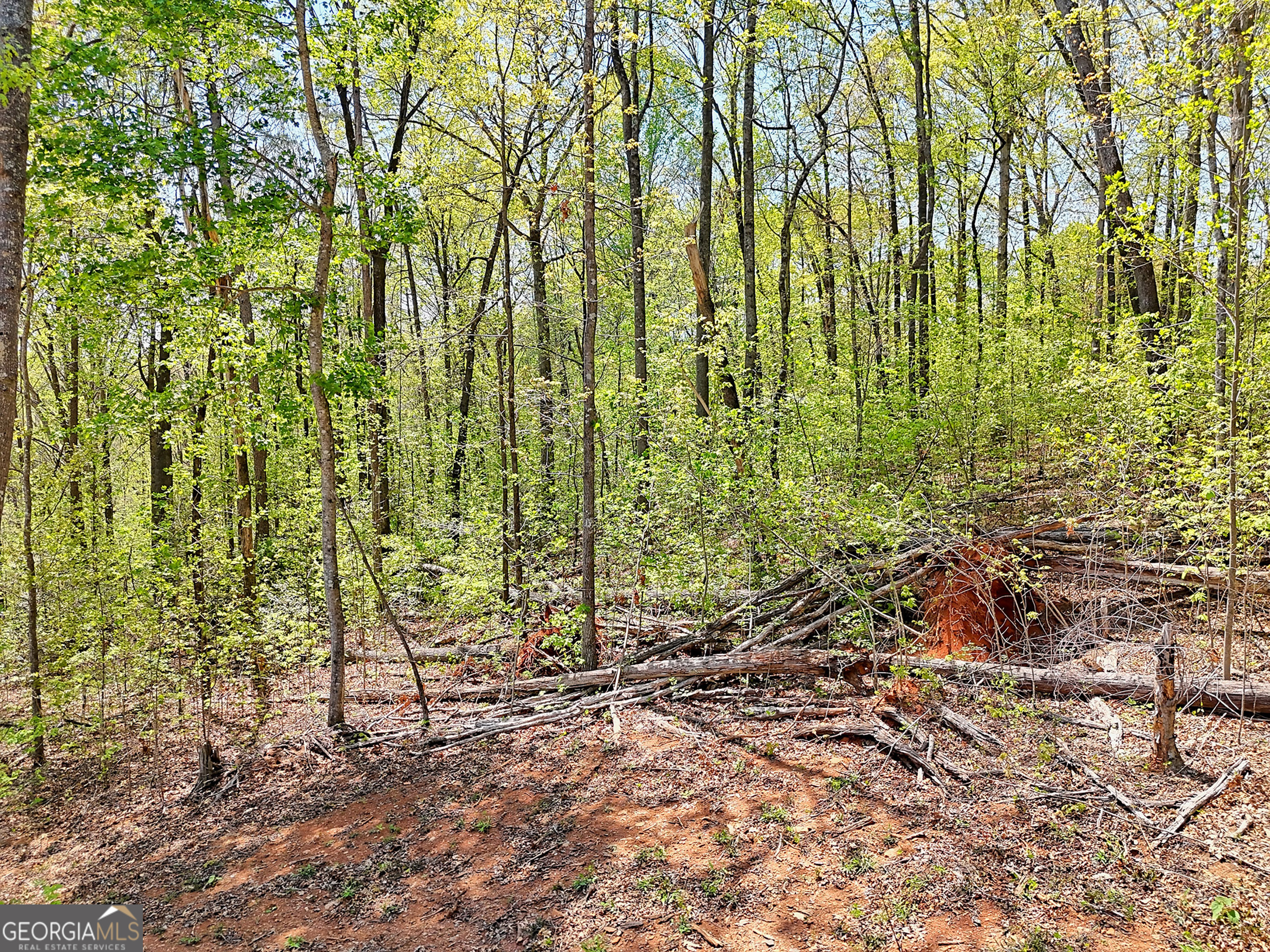 Lot 6 Meadowview Ridge Clarkesville, GA 30523 - Photo 20 of 23