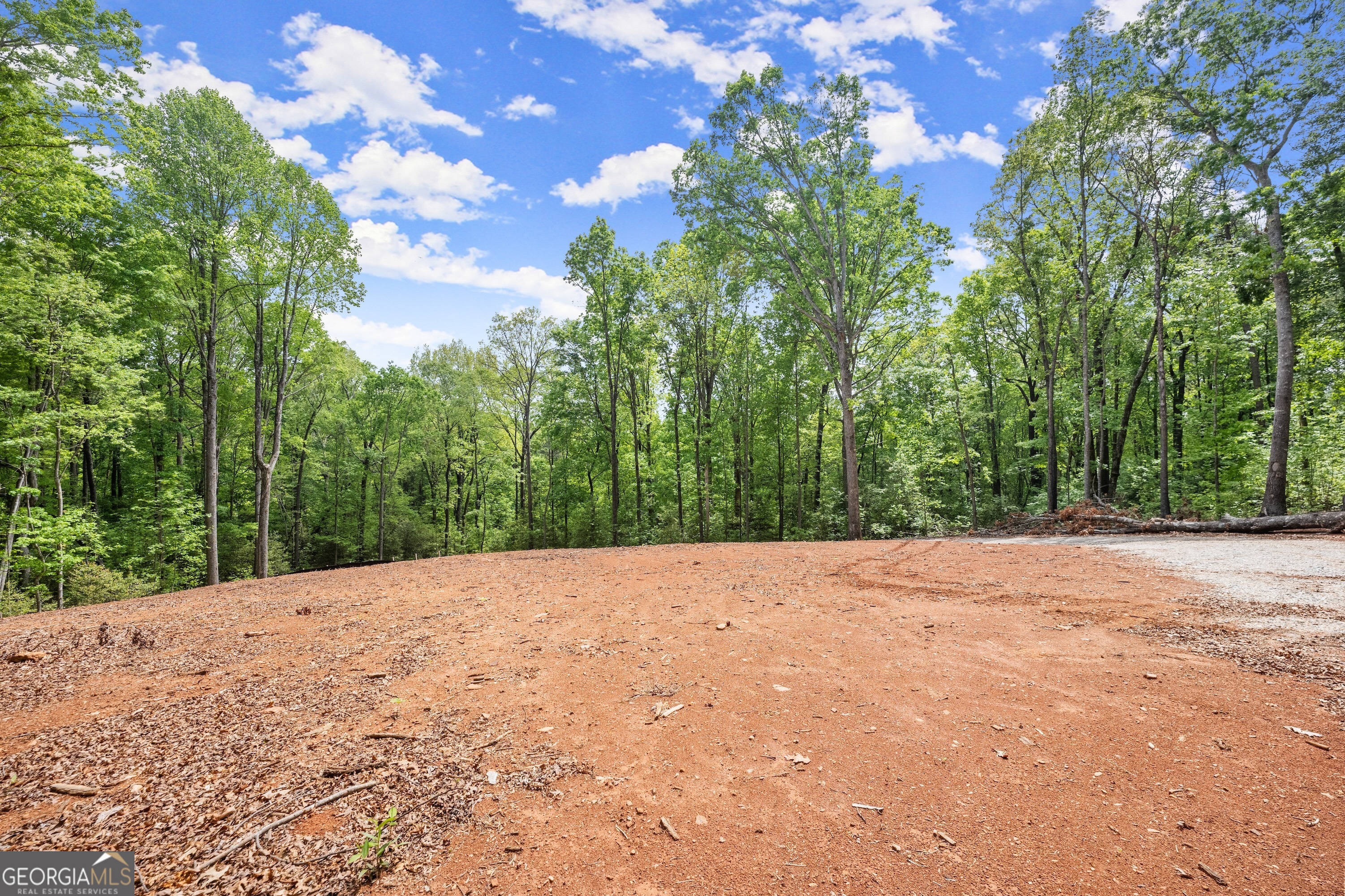 Lot 6 Meadowview Ridge Clarkesville, GA 30523 - Photo 21 of 23