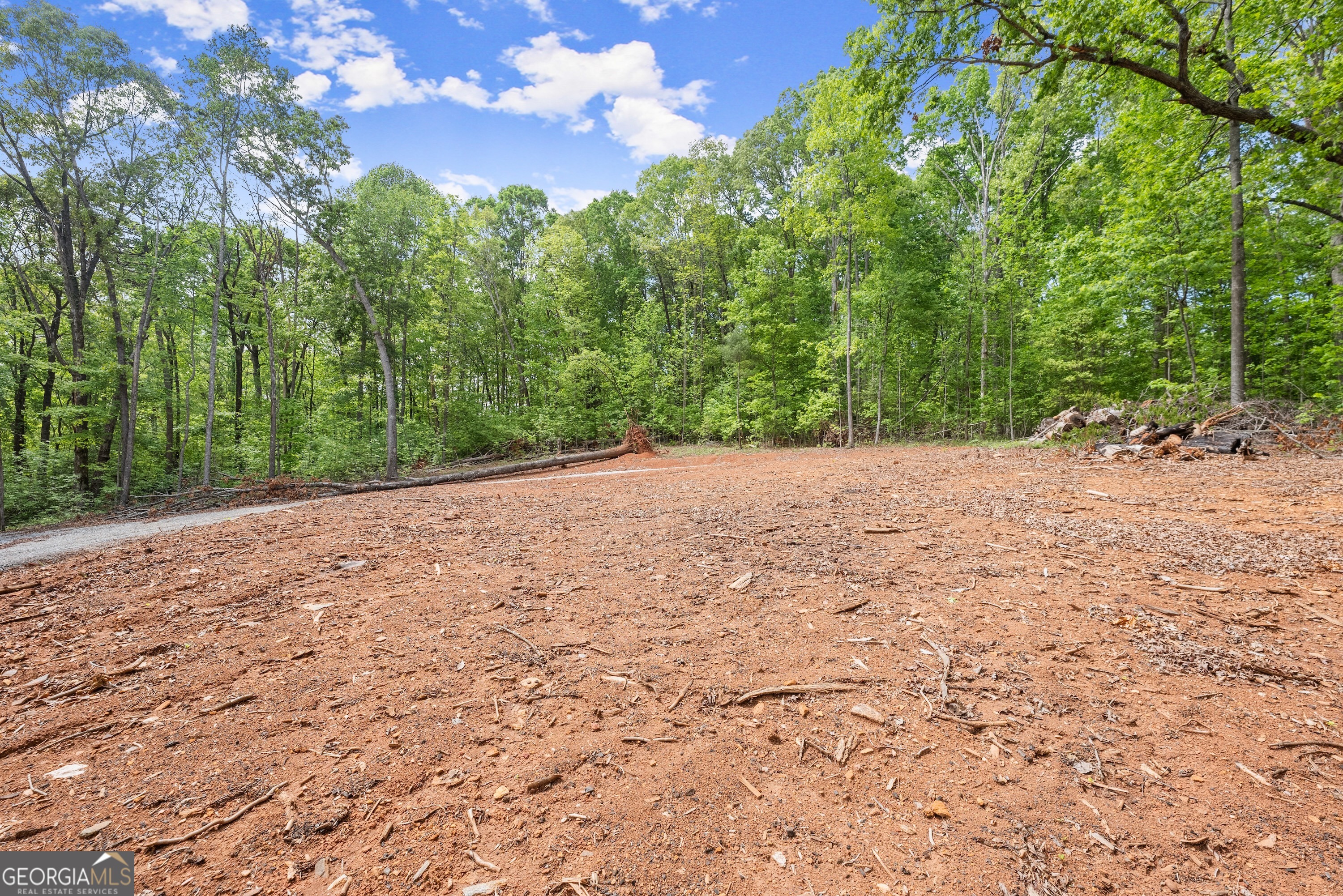 Lot 6 Meadowview Ridge Clarkesville, GA 30523 - Photo 22 of 23