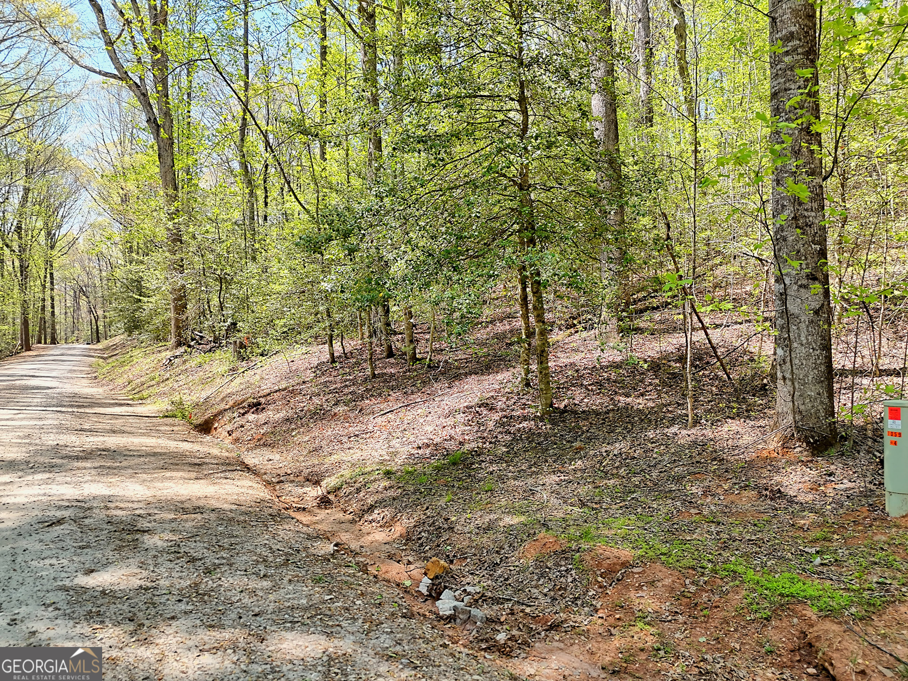 Lot 6 Meadowview Ridge Clarkesville, GA 30523 - Photo 3 of 23
