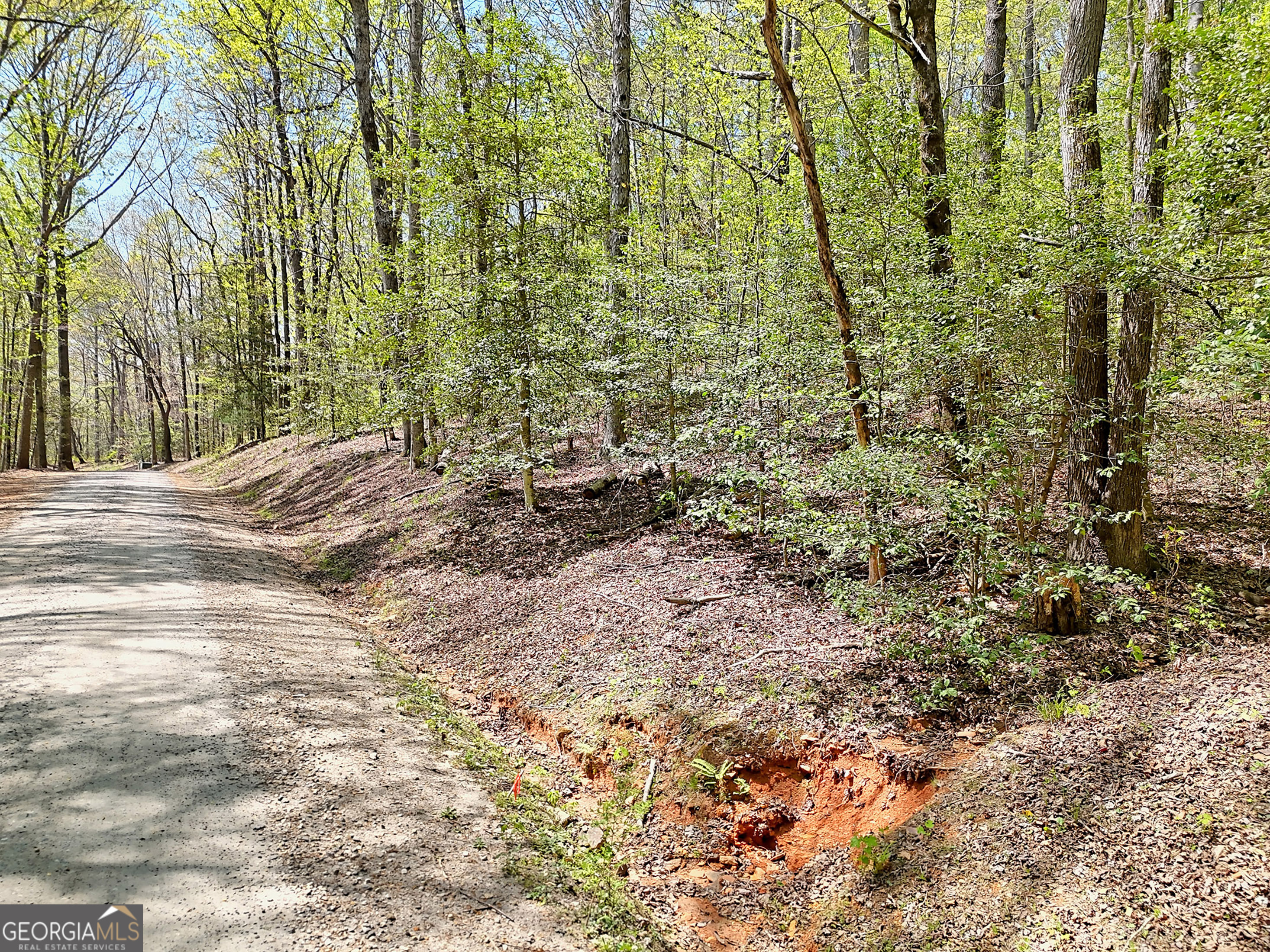 Lot 6 Meadowview Ridge Clarkesville, GA 30523 - Photo 5 of 23