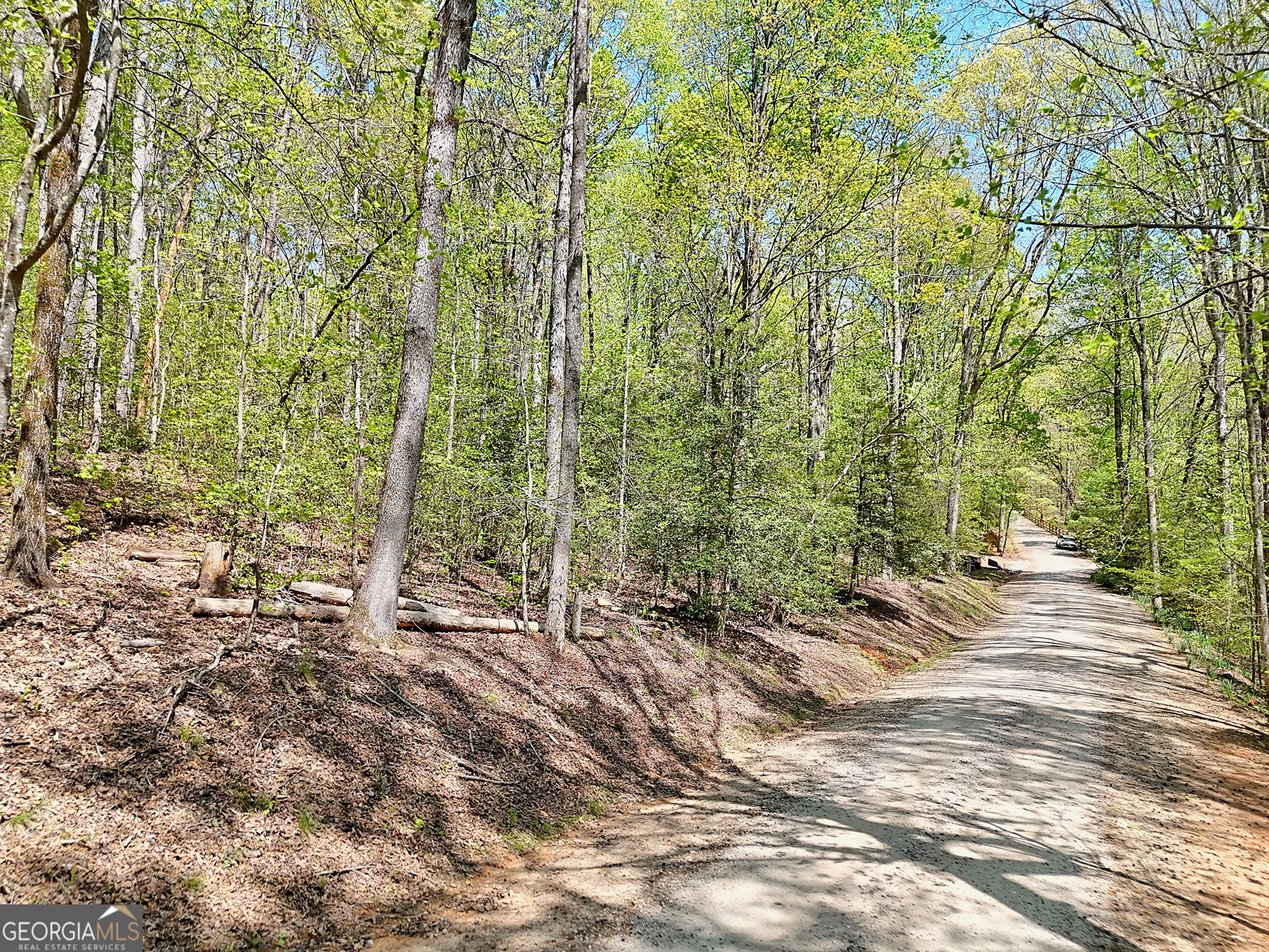 Lot 6 Meadowview Ridge Clarkesville, GA 30523 - Photo 6 of 23