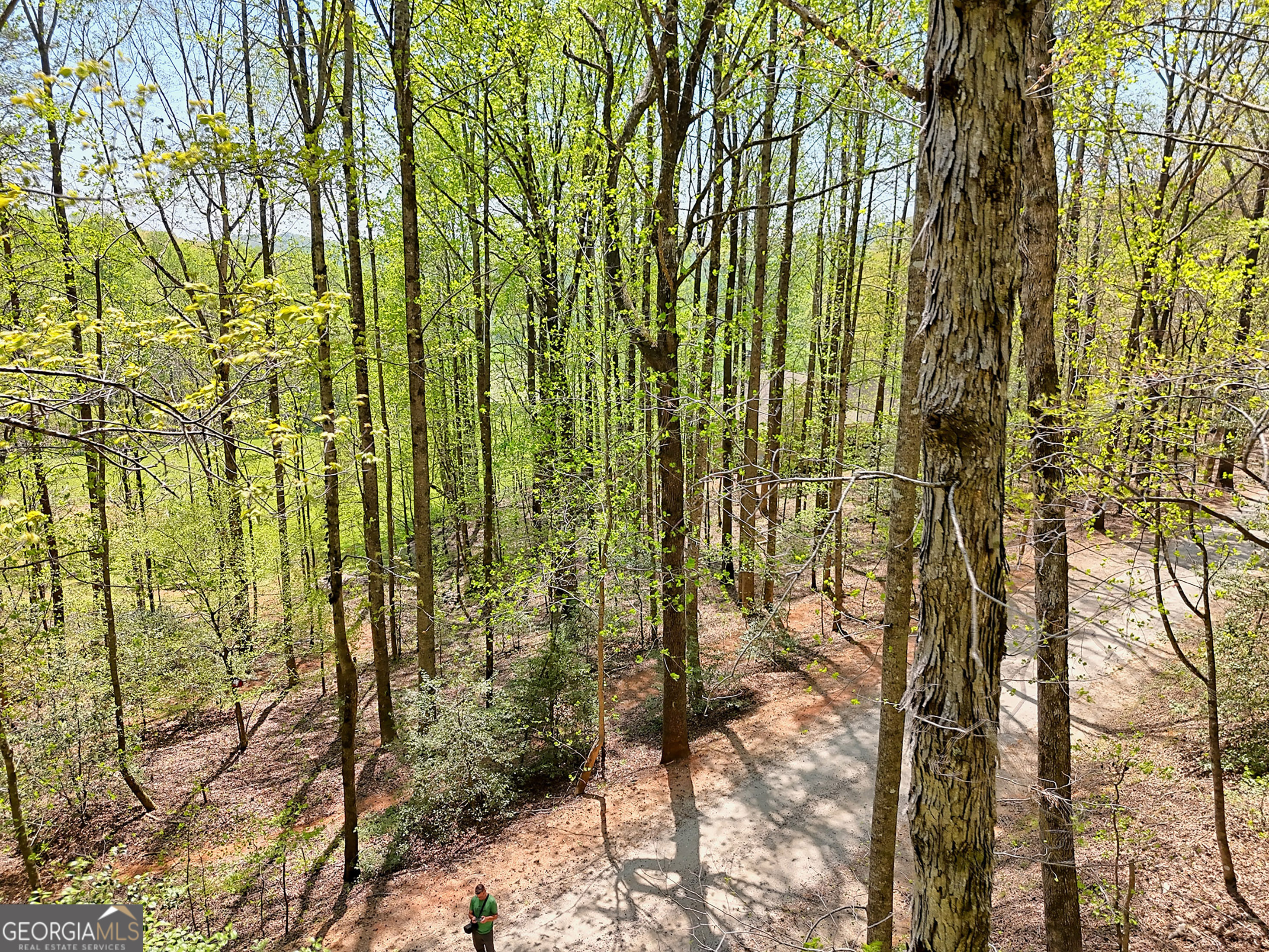 Lot 6 Meadowview Ridge Clarkesville, GA 30523 - Photo 8 of 23