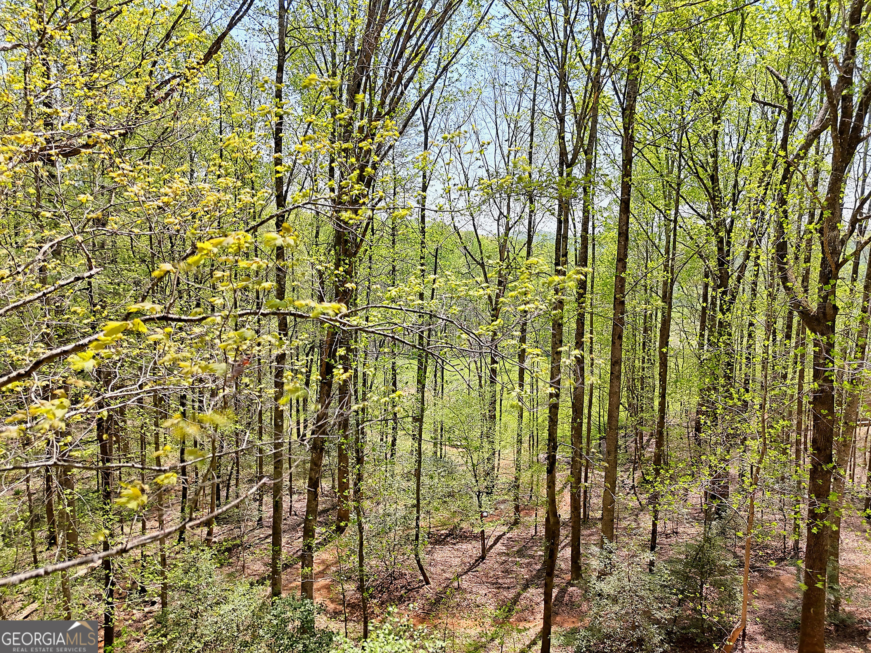 Lot 6 Meadowview Ridge Clarkesville, GA 30523 - Photo 10 of 23