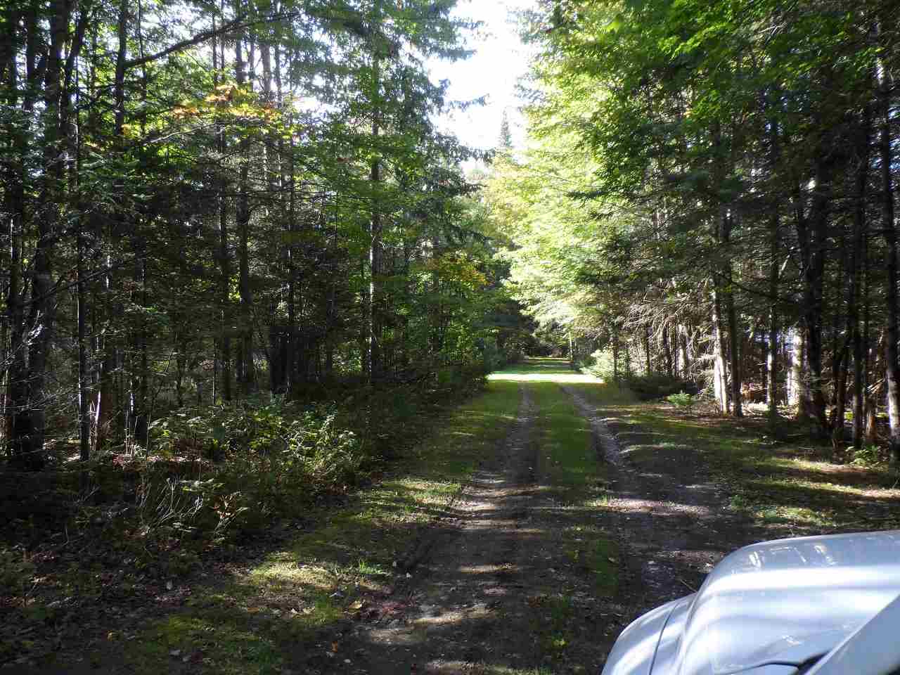 Moose Trail Road Clarksville, NH 03592 - Photo 1 of 5 Gallery Image 1