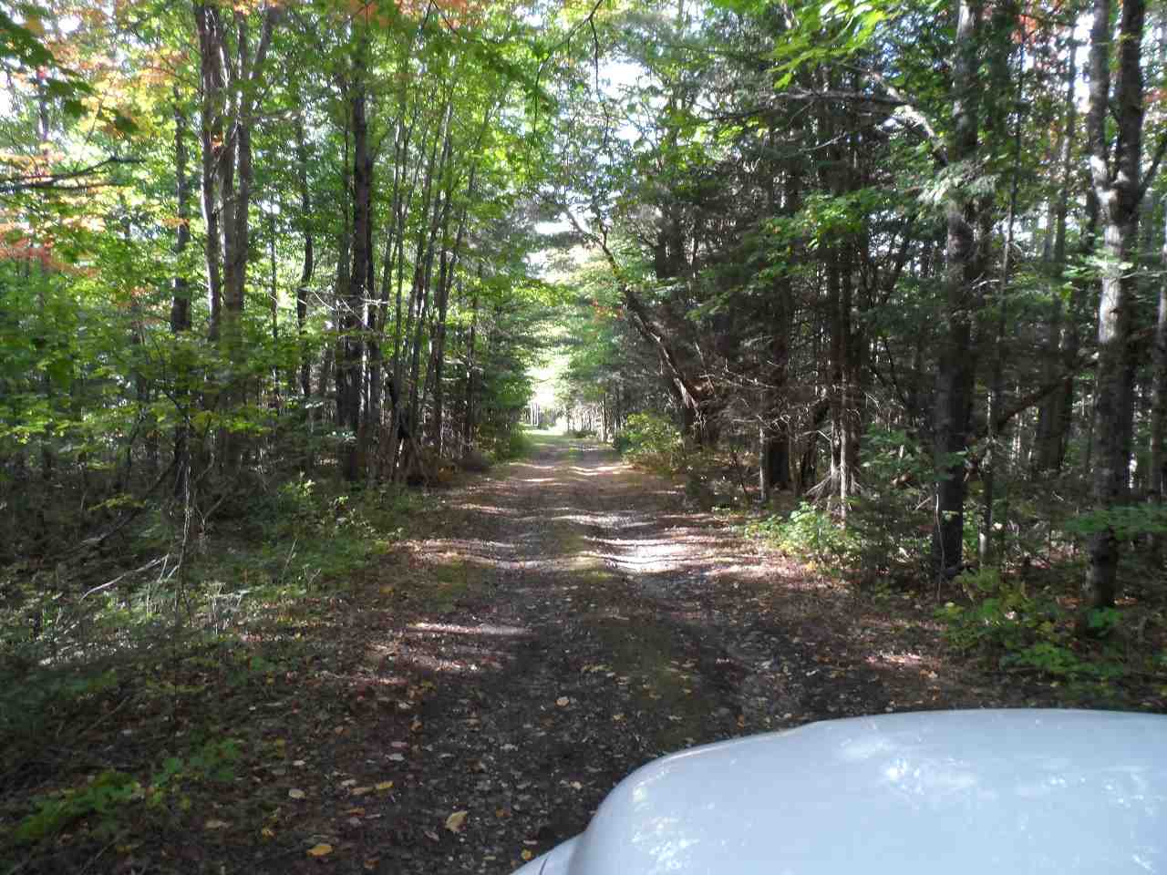 Moose Trail Road Clarksville, NH 03592 - Photo 2 of 5 Gallery Image 2