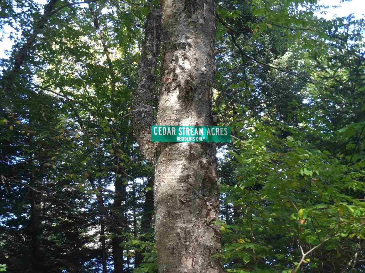Moose Trail Road Clarksville, NH 03592 - Photo 3 of 5 Gallery Image 3