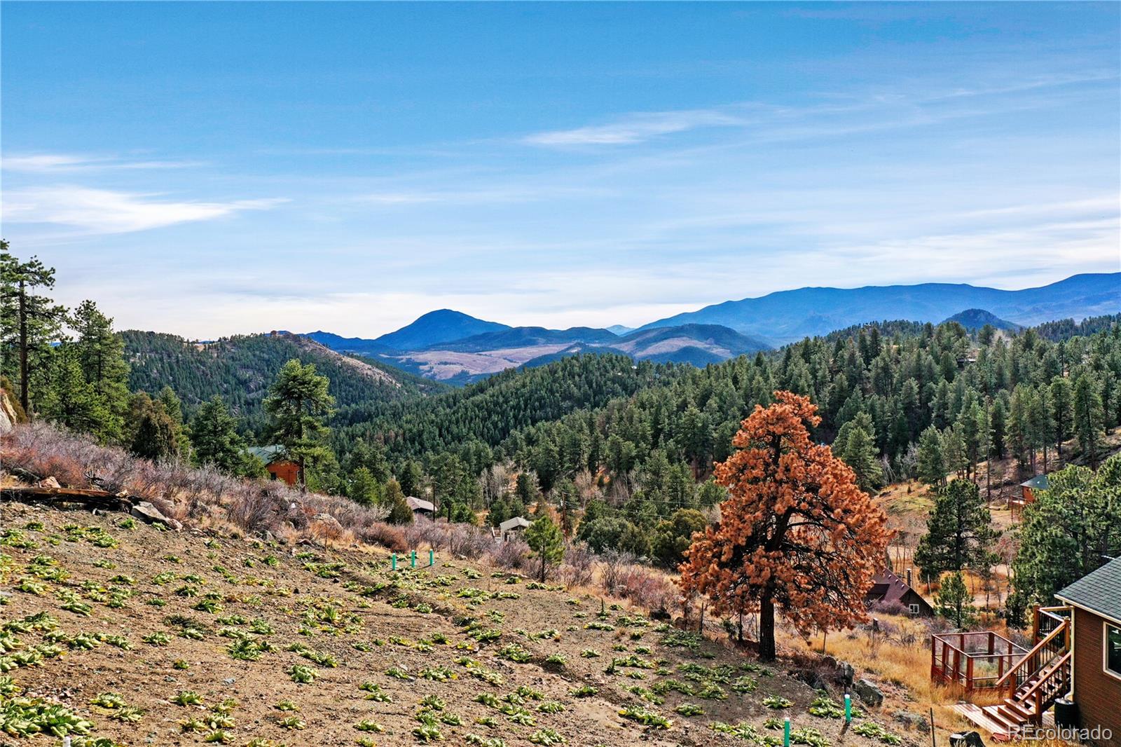 209 Fawn Road Bailey, CO 80421 - Photo 2 of 26 a view of a mountain