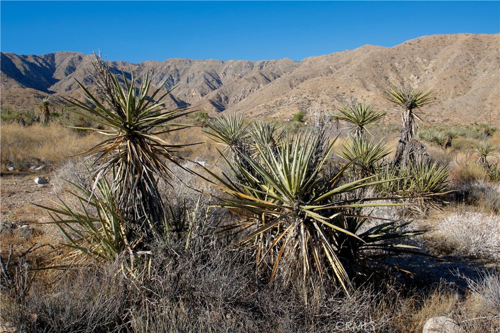 5821711 Big Morongo Canyon Road Morongo Valley, CA 92256 - Photo 18 of 18
