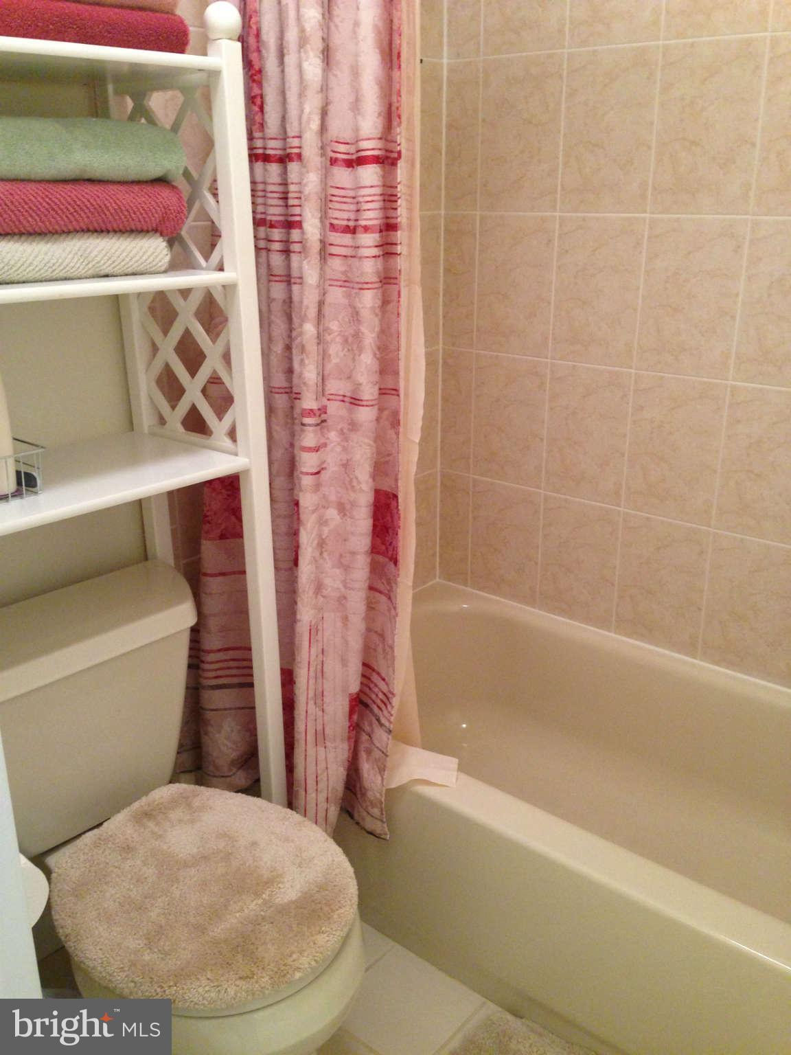 8607 Falls Run Road, Unit B Ellicott City, MD 21043 - Photo 2 of 21 Bath (Master)