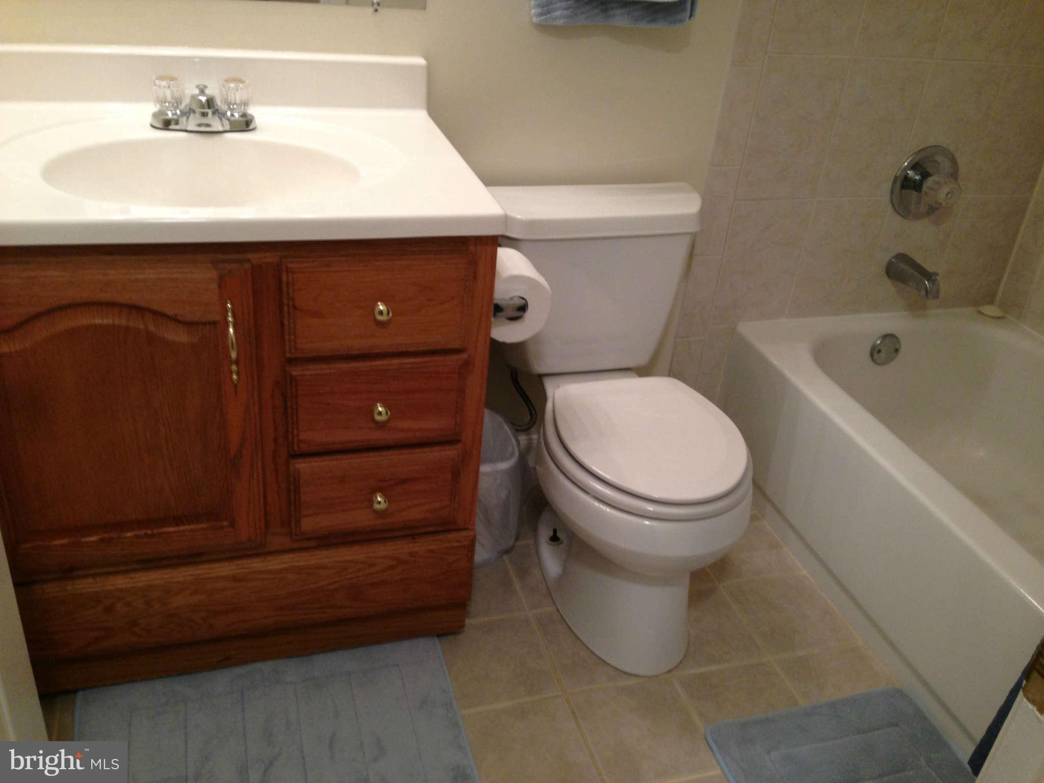 8607 Falls Run Road, Unit B Ellicott City, MD 21043 - Photo 6 of 21 Bath