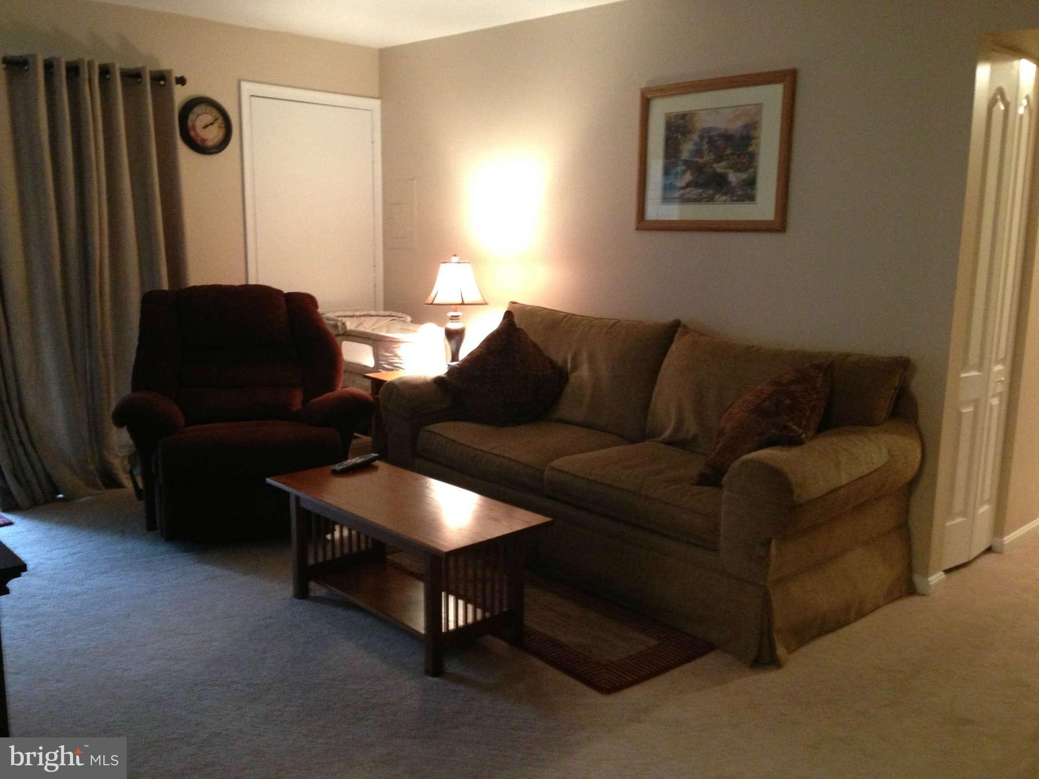 8607 Falls Run Road, Unit B Ellicott City, MD 21043 - Photo 7 of 21 Living Room