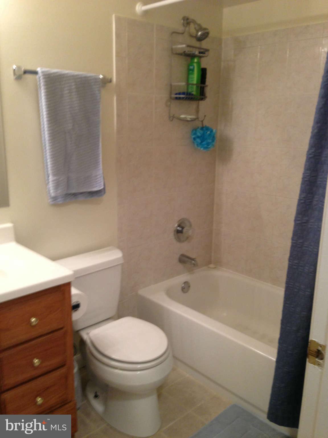 8607 Falls Run Road, Unit B Ellicott City, MD 21043 - Photo 9 of 21 Bath
