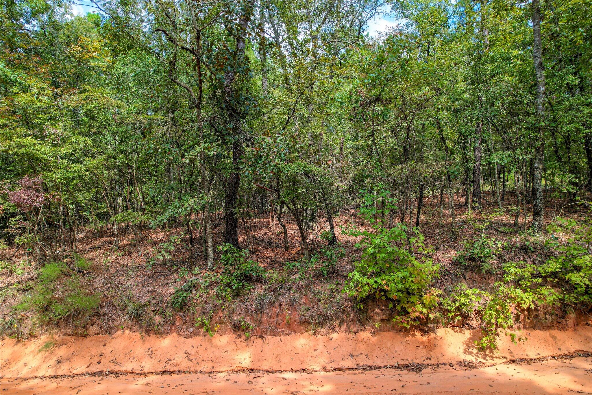 001 A Centerwood Road Williston, SC 29853 - Photo 17 of 19