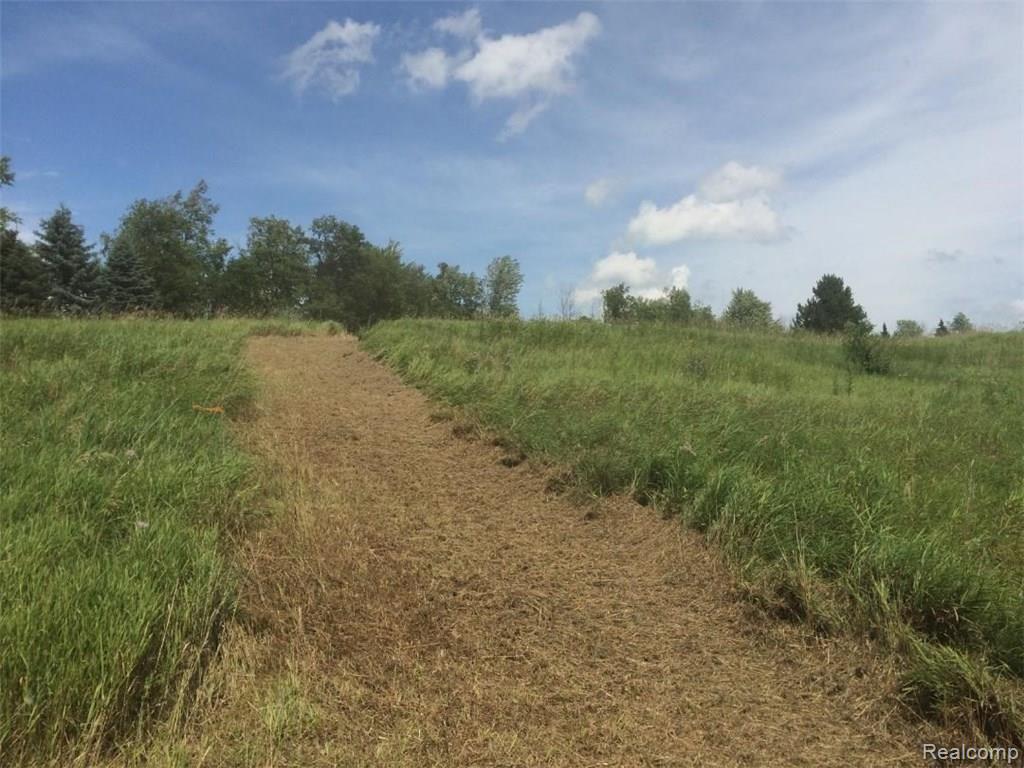 Vl Hosner Road Oxford, MI 48370 - Photo 9 of 11