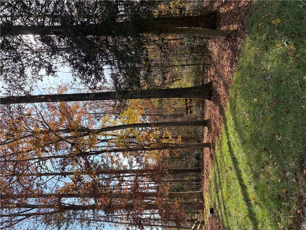 1298 Carradine Road Seneca, SC 29678 - Photo 34 of 47