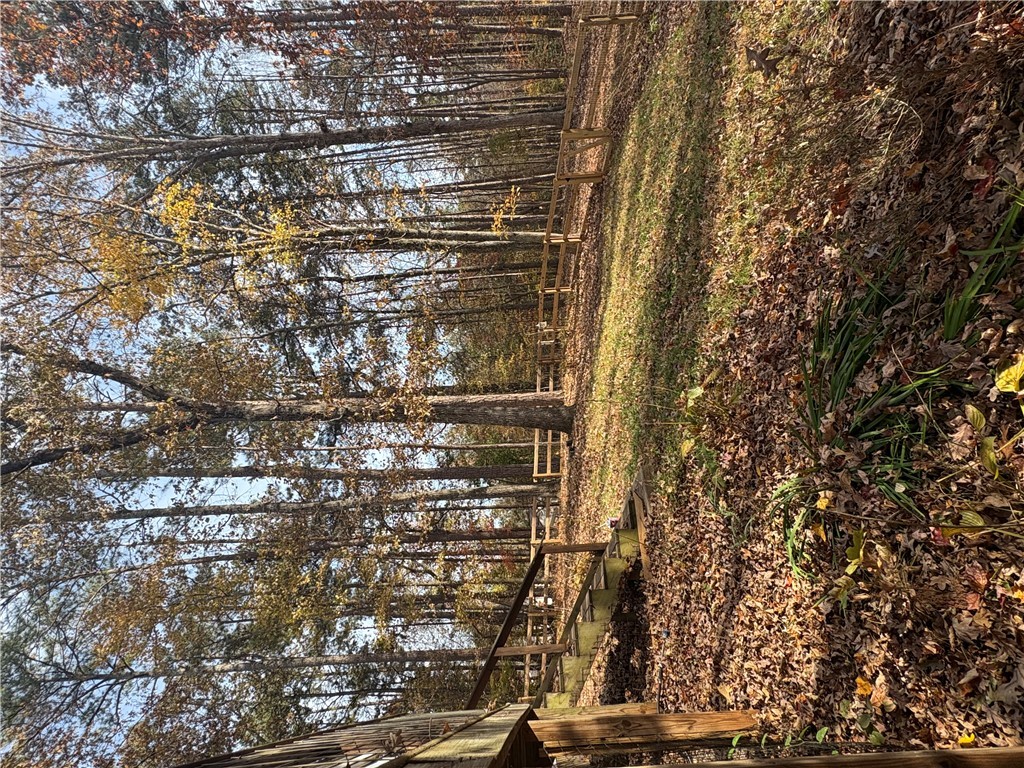 1298 Carradine Road Seneca, SC 29678 - Photo 36 of 47 Side yard view