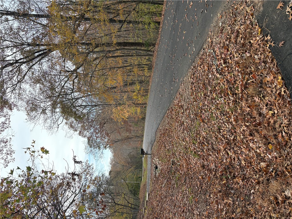 1298 Carradine Road Seneca, SC 29678 - Photo 43 of 47