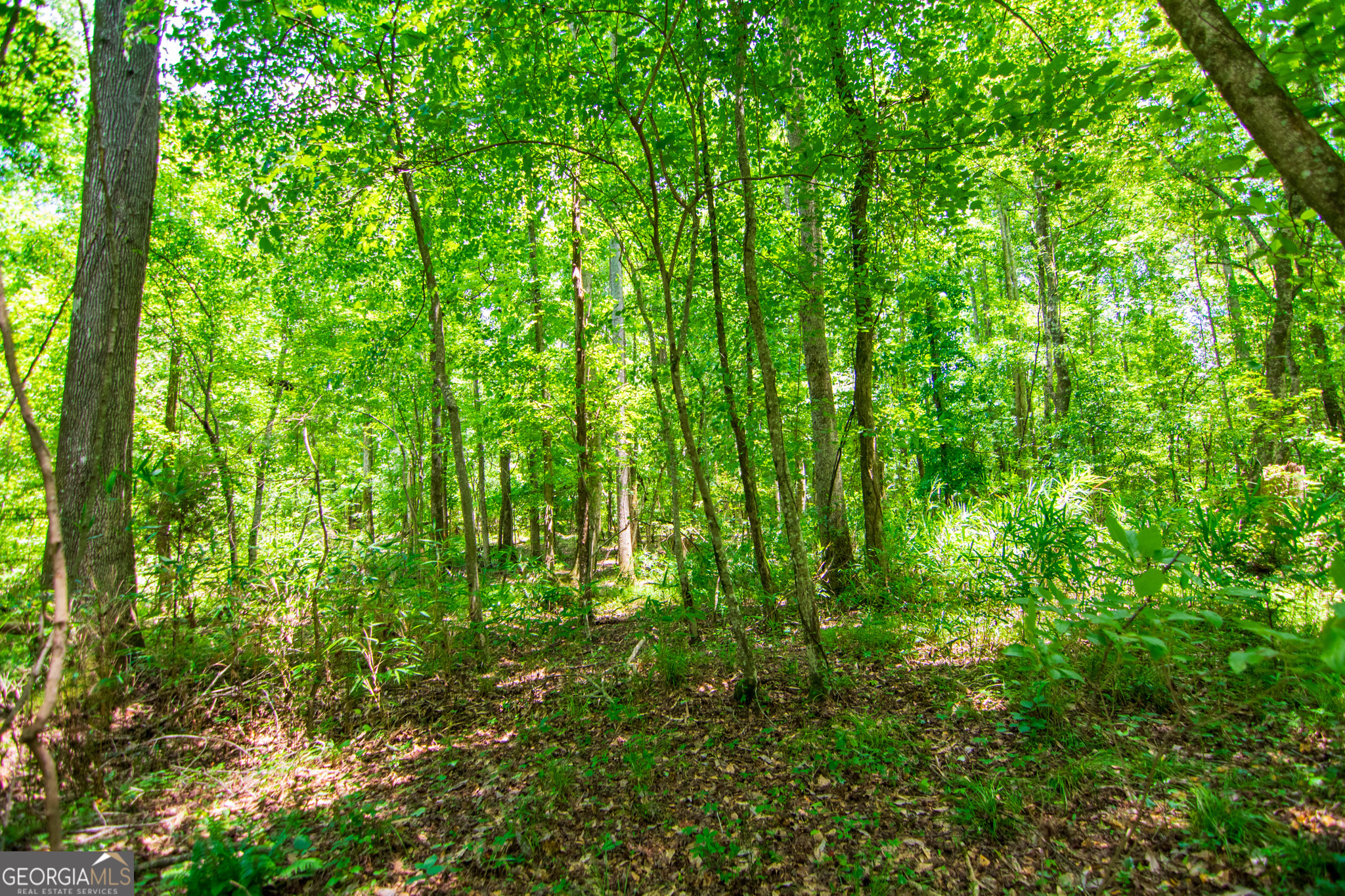0 White Road Pine Mountain, GA 31822 - Photo 17 of 22