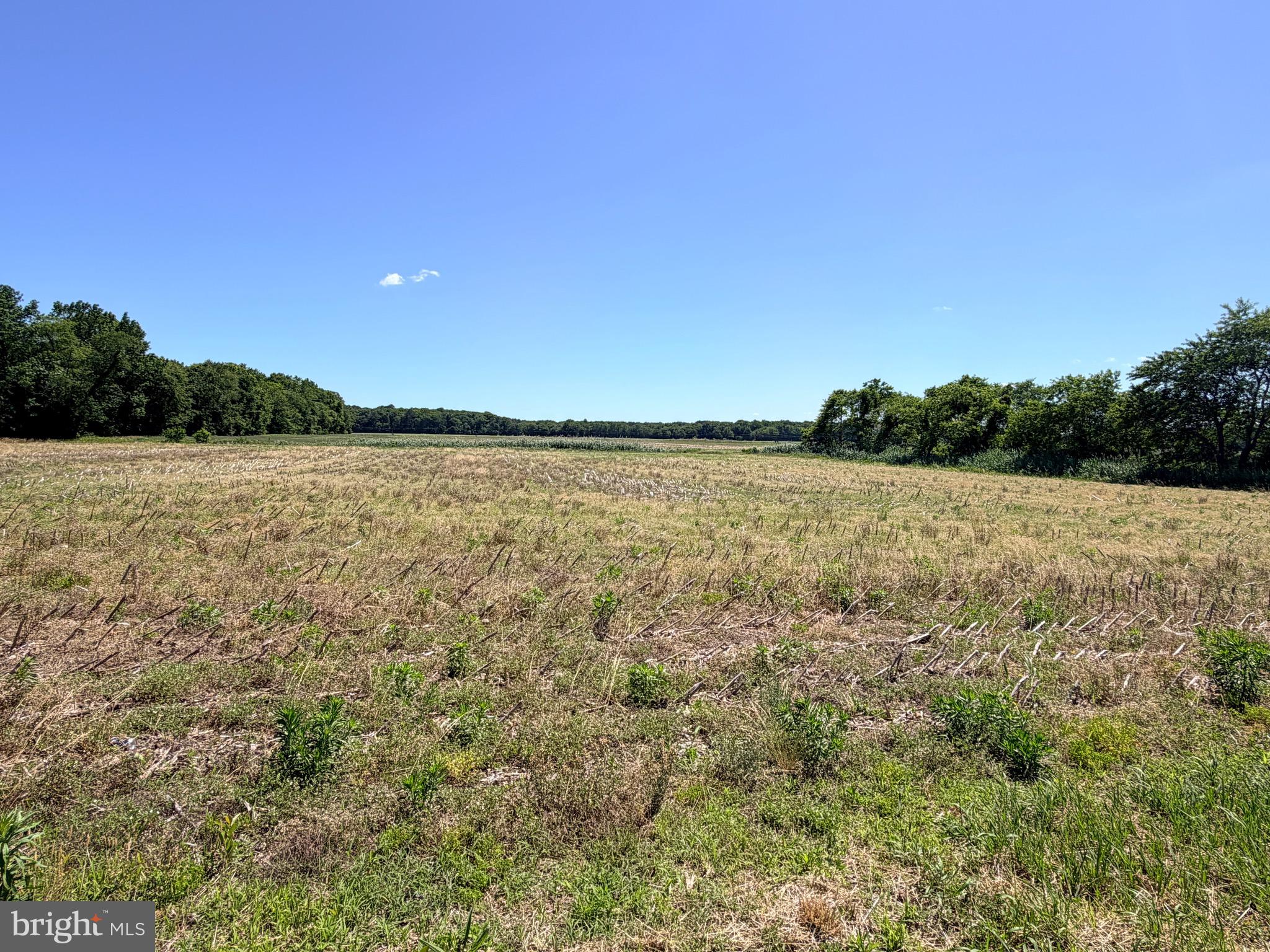 0 Daisey Road Frankford, DE 19945 - Photo 1 of 5