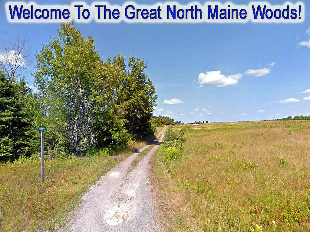 Lot 12 River Road Oxbow, ME 04764 - Photo 4 of 5 river-rd-island-land