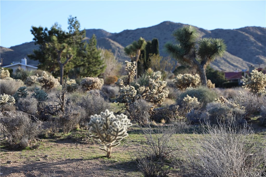 0 Ivanhoe Yucca Valley, CA 92284 - Photo 2 of 17