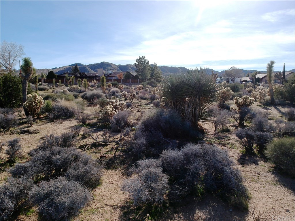 0 Ivanhoe Yucca Valley, CA 92284 - Photo 3 of 17