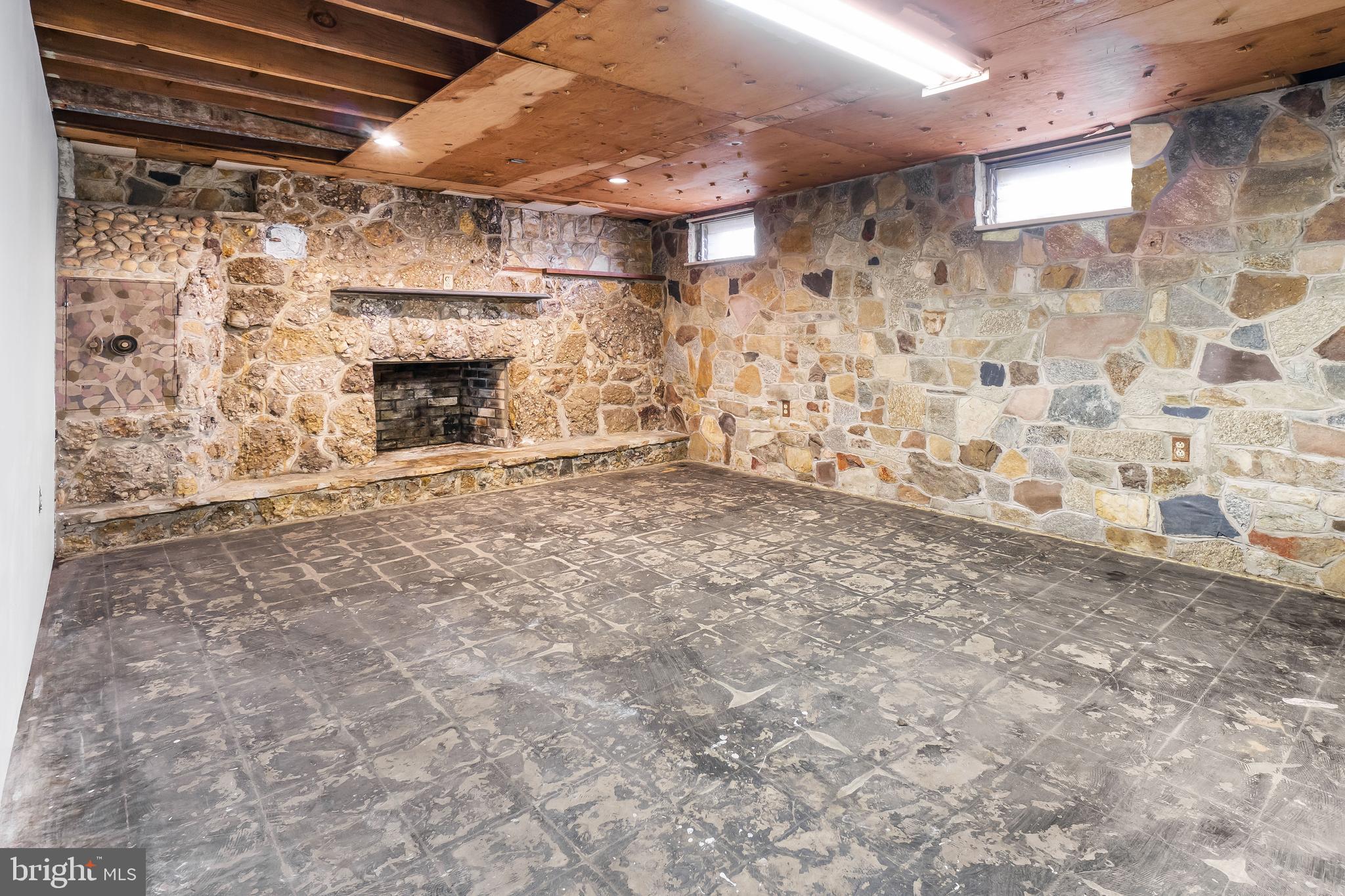 601 Red Toad Road North East, MD 21901 - Photo 21 of 25 Bonus room stone fireplace in walk-out basement