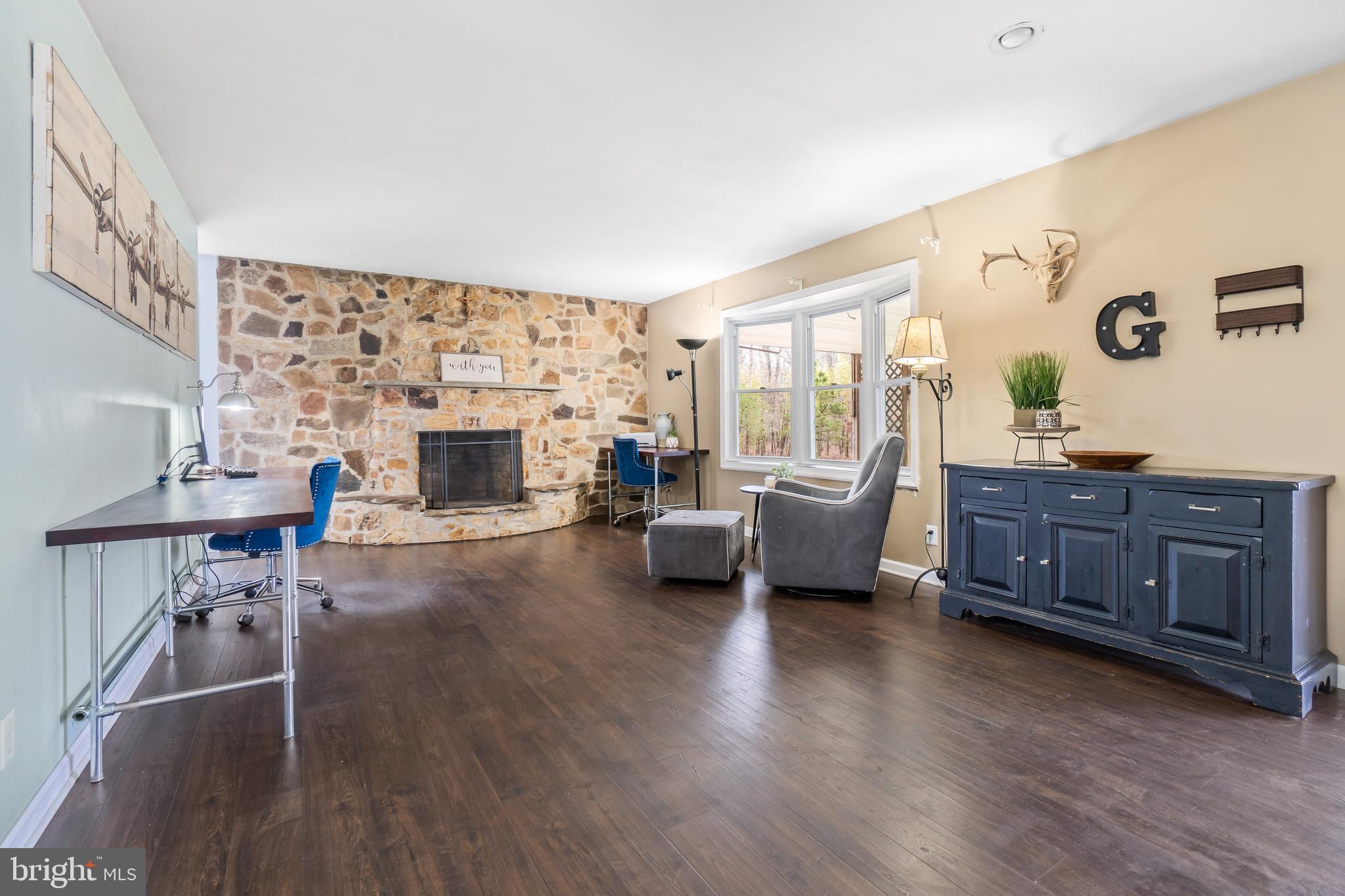 601 Red Toad Road North East, MD 21901 - Photo 4 of 25 Living room featuring stone wall fireplace