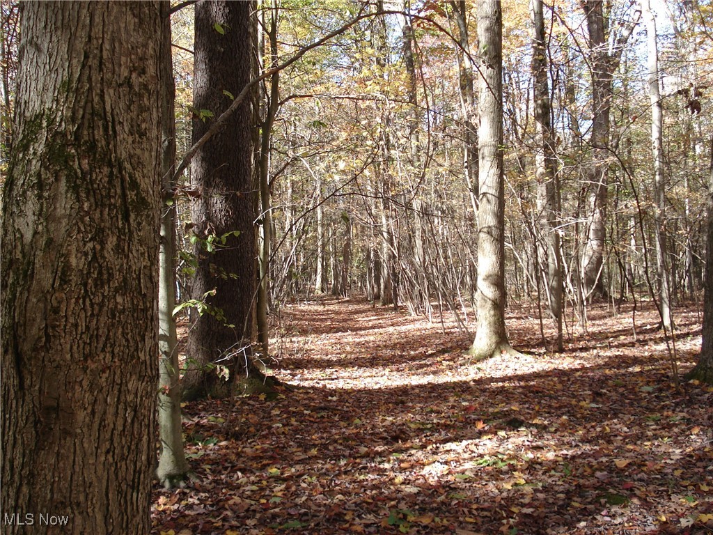 627 State Line Road Pierpont, OH 44082 - Photo 23 of 34